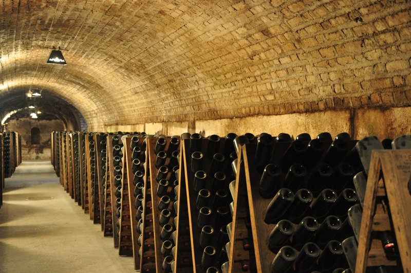 Wish this was my cellar