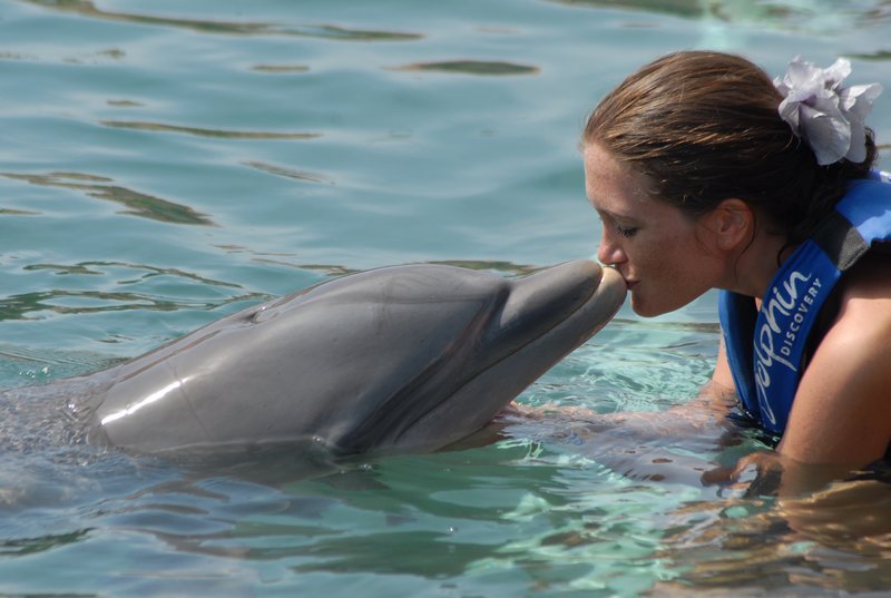 Nikki kissing a dolphin