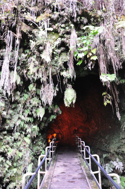 Entrance to Thurston lava tube