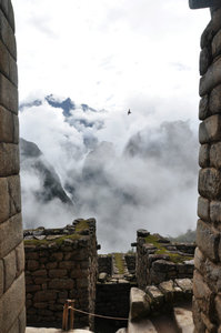 Early morning inside Machu Picchu