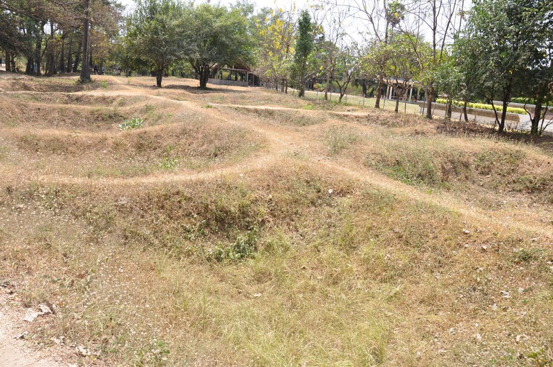 Mass graves that have been exhumed