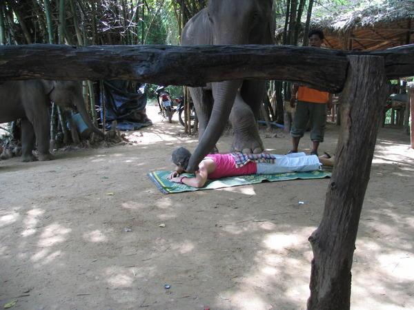 elephant massage