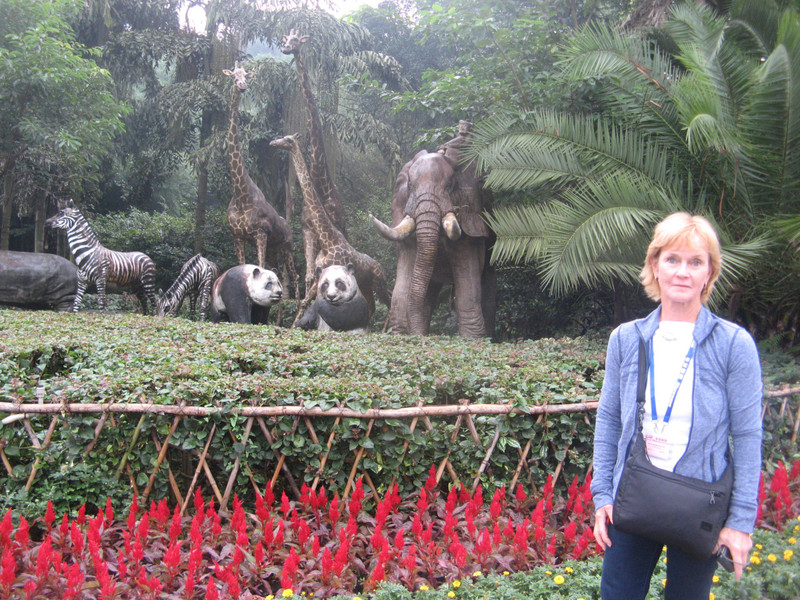Entering the Chongqing Zoo.