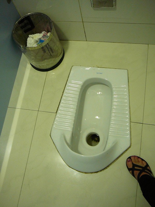 The squat toilet