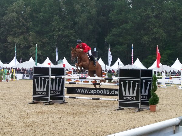 horse championship, warendorf 
