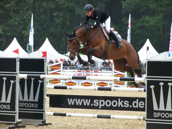 horse championship, warendorf