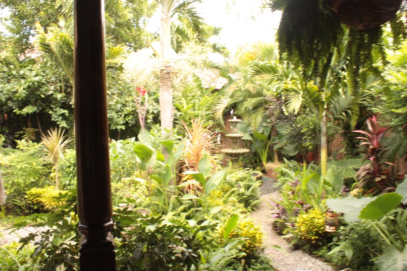 The 'indoor' garden of The Garden Cafe