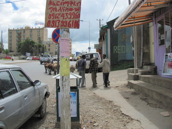 Addis streetlife