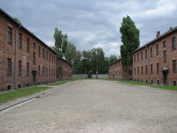 auschwitz 34 barracks