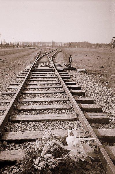  rail-way system of Auschwitz-Birkeanu