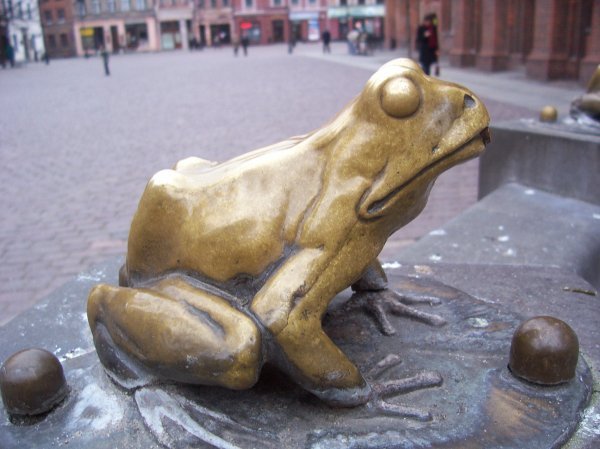 One of the enchanted frogs, according to the legend. 