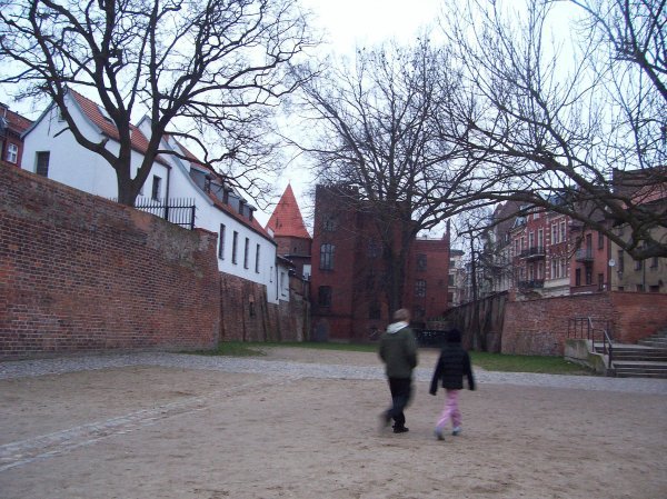 Area of the Teutonic Castle 