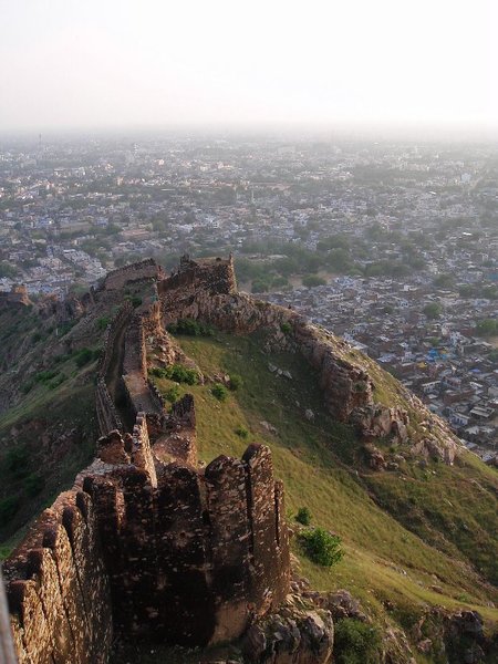 Tiger Fort View