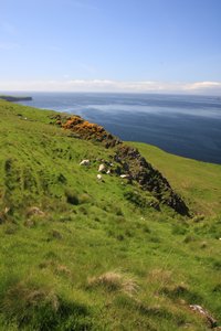 Isle of Skye9