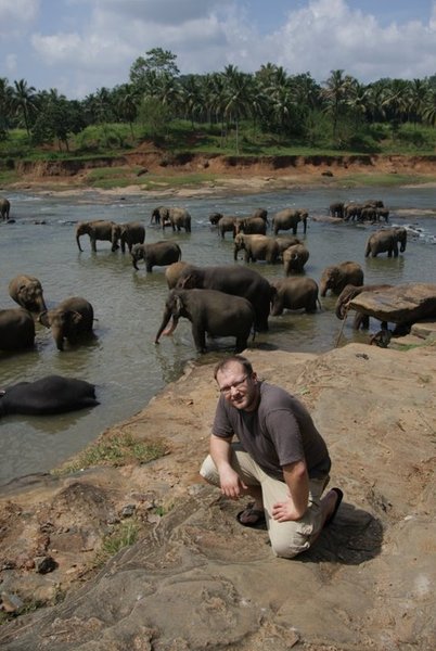 pinnawala elephant orphanage 
