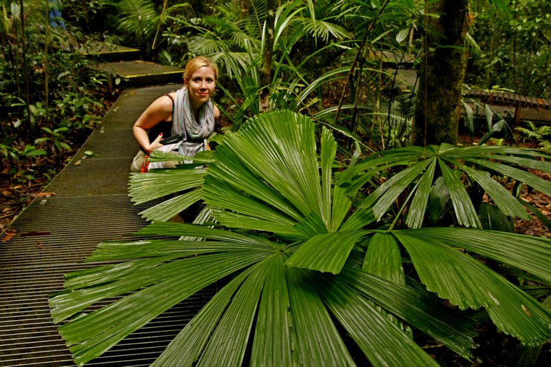 Daintree Discovery Centre - bottom of the rainforest