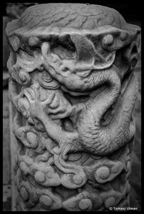dragon detail