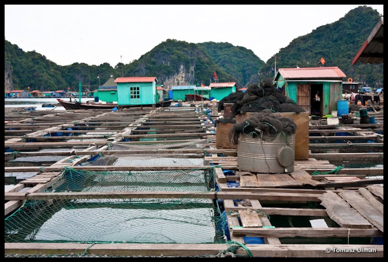 floating fish farm