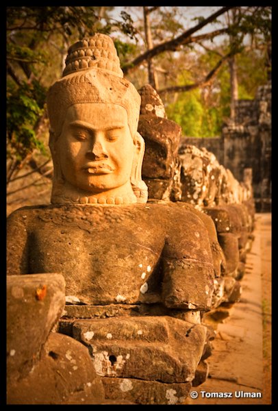 in Angkor Wat
