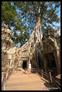 at Ta Phrom Temple