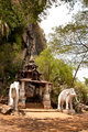 elephant temple