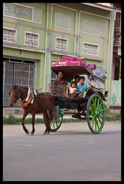 horse taxi