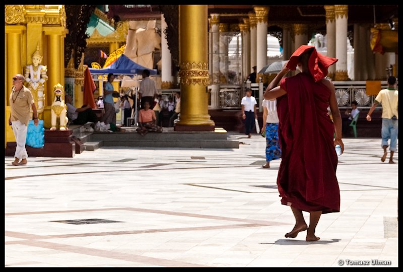 monk at Shwedagon Paya