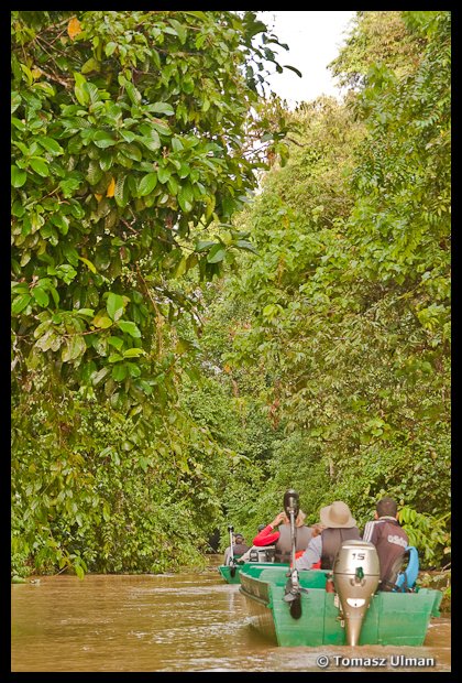 Kinabatangan River Cruise