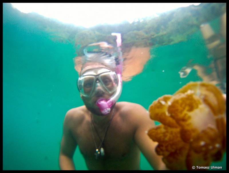 Tomek and jellyfish
