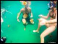 swimming with jellyfish