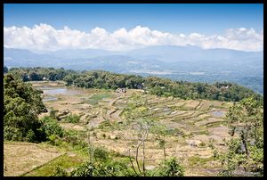 view from Batutumonga