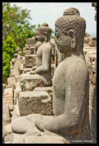 Buddha statues in Borobodur