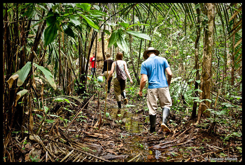 treking into the rain forest of the Amazon
