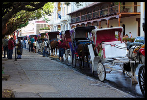 carriages waiting for tourists