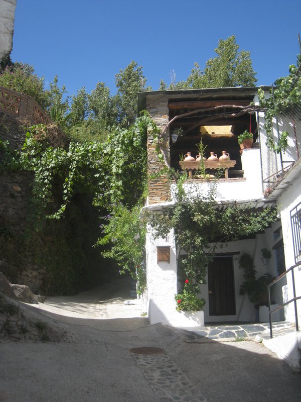 Typical village house