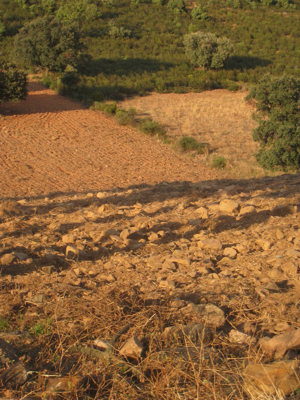 A recently plowed field of rocks