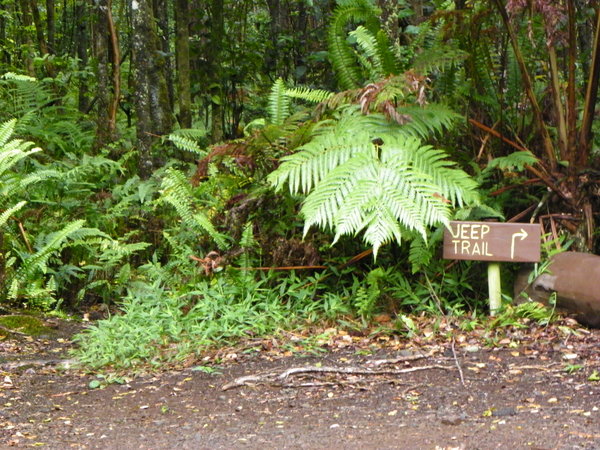 Jeep Trail 