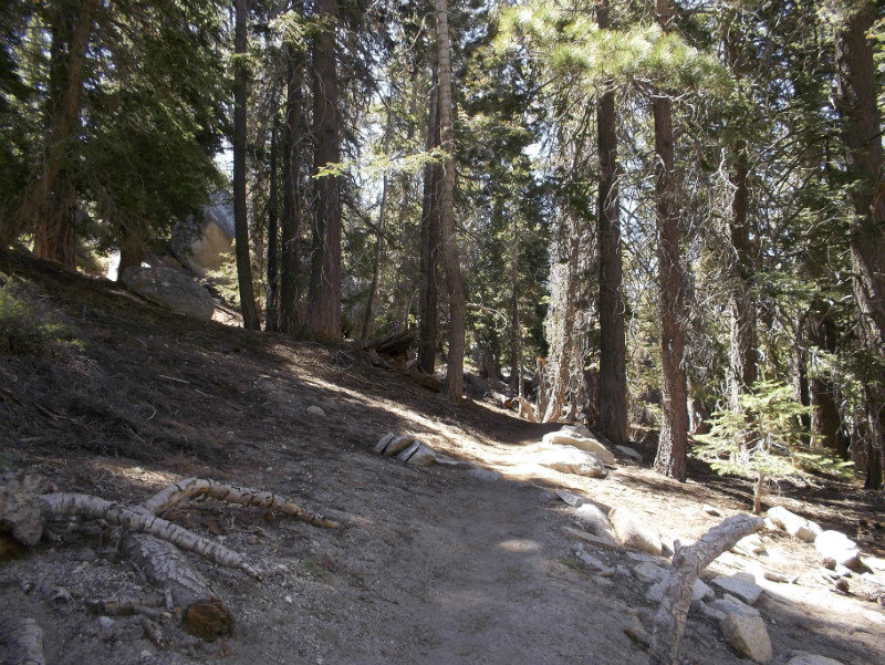 Deer Springs Trail