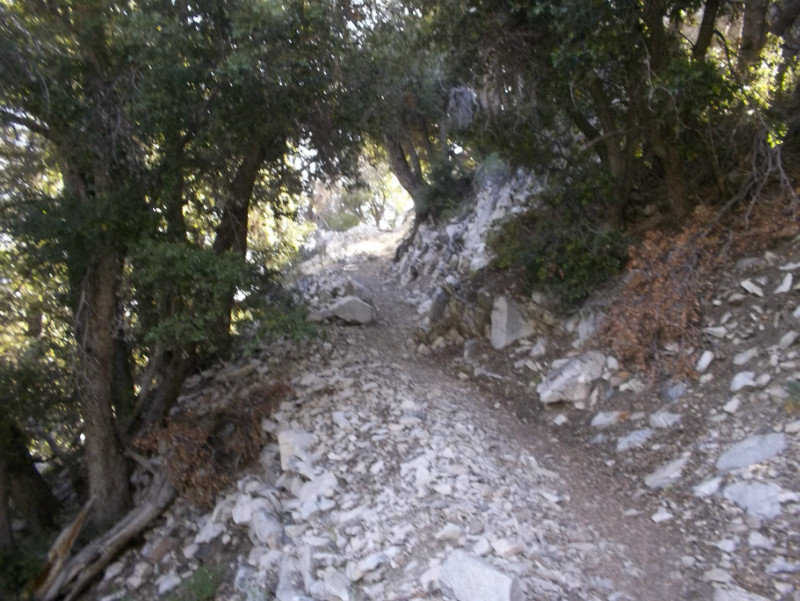 Vivian Creek Trail