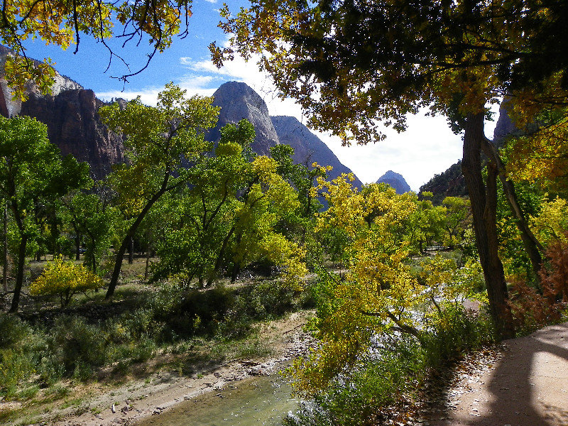 Zion in the Fall