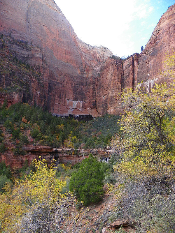 Zion in the Fall