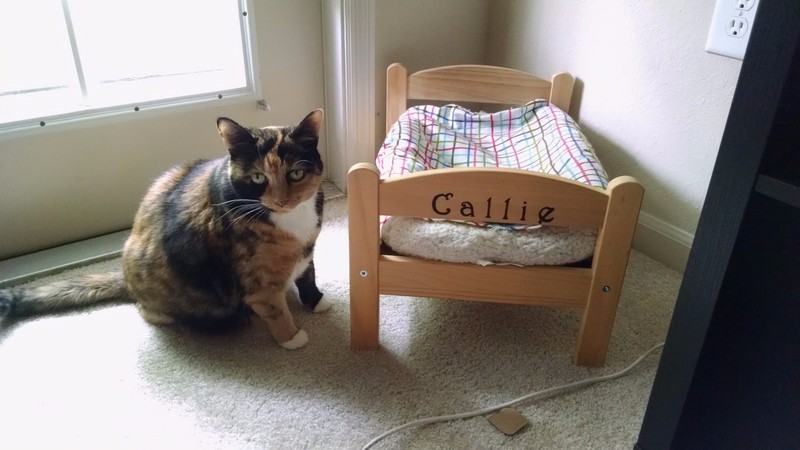Callie's Corner