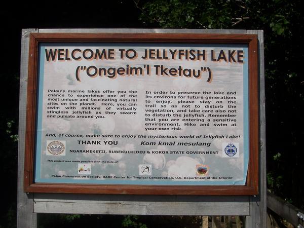 JellyFish Lake