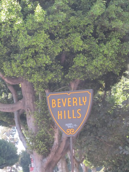 Beverly Hills... very expensive area