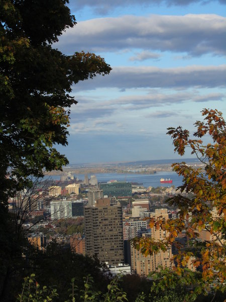 View of Montreal from Mount Royal