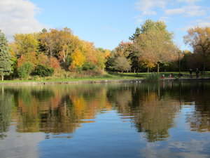 Lake in Mount Royal Park where we went for a run