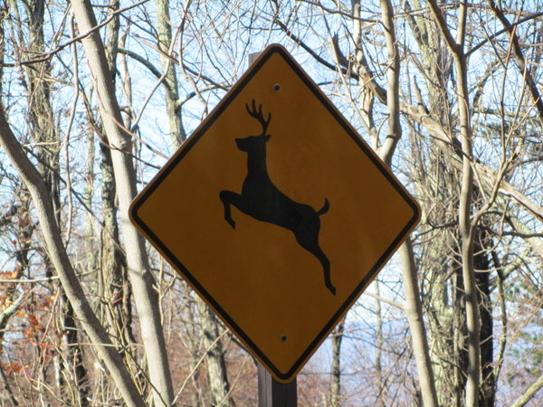 Deer Warning - greatest hazard on the highway apparently!