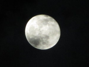 Full Moon - watch out for Alexa!