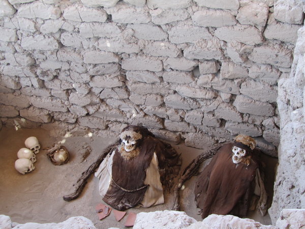 Inca Mummies... freaky!