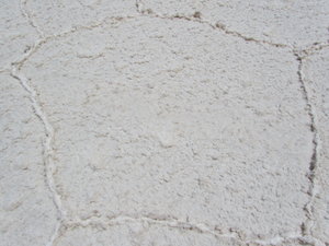Salt flat surface